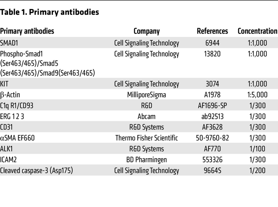 Primary antibodies