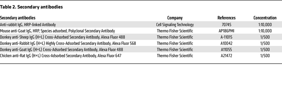 Secondary antibodies