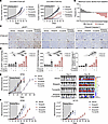 PTEN deficiency confers increased sensitivity to ATR and combined ATR/PARP