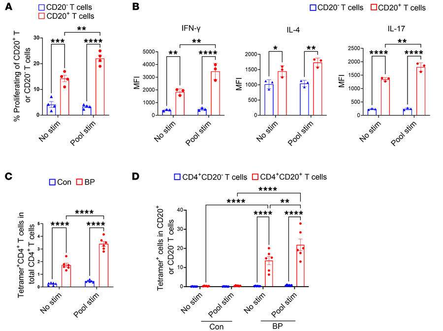 CD20+ T cells exhibit antigen-specific responses in patients with BP.
(A...