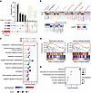 RNA-sequencing analysis of CD20+ T cells in the peripheral blood of humans.