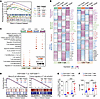 CD4+CD20+ T cells exhibit Tfh-like characteristics in BP.