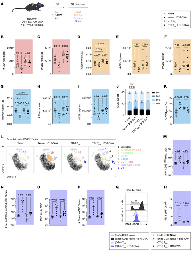 Brain TRM restrain tumor-associated peripheral immunosuppression and loc...