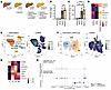 LARP6 is upregulated in activated HSCs from human fibrotic livers.