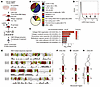 LARP6 interacts with mature collagen mRNAs.