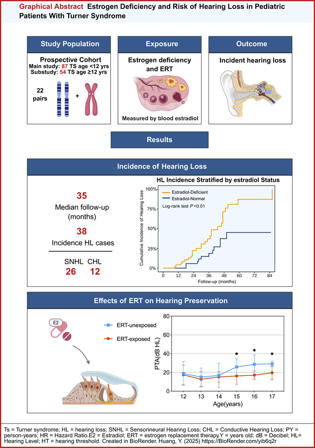 graphical abstract