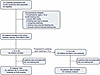 Flowchart of study enrollment.
