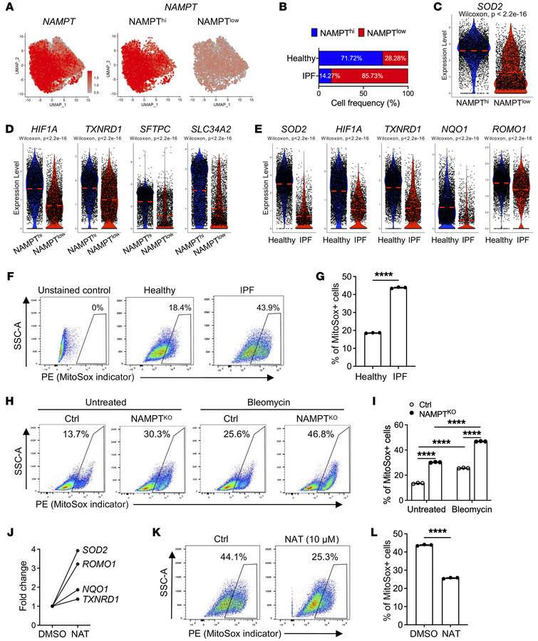 NAMPT is associated with SOD2 expression and the oxidative stress respon...