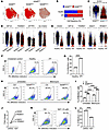 NAMPT is associated with SOD2 expression and the oxidative stress response