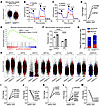NAMPT regulates mitochondrial function and AT2 cell differentiation.
