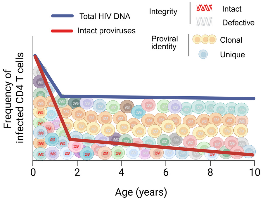 graphical abstract