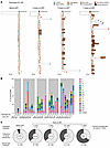 Clonality of the HIV reservoir over time in early-ART-treated Thai children