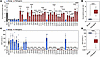 Functional discrimination of classified SDHB variants via succinate/fumarat