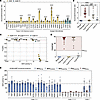 Functional characterization of SDHB VUS alleles enables ACMG/AMP evidence a