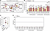 Conserved cysteine residues in SDHB are critical for SDH function and unifo