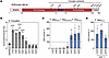 Truncation mapping defines essential functional domains of SDHB and support