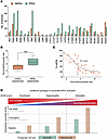 Succinate/fumarate ratios predict tumor location and distinguish SDHB varia