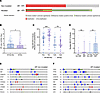 AR amplification and AR-V7 expression in AR-mutated mCRPC clinical biopsies