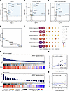 AR-mutated biopsies from patients with mCRPC exhibit a distinct splicing fa