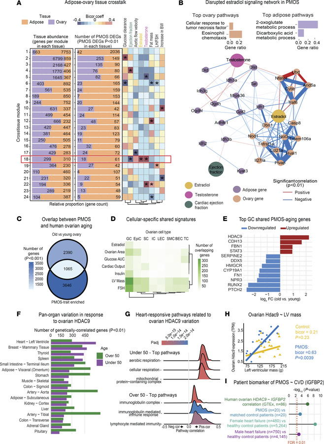 Ovary–peripheral organ crosstalk links reproductive and cardiometabolic ...