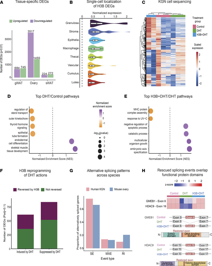 H3B-8800 reprograms hyperandrogenism-induced dysregulation of granulosa ...