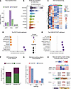 H3B-8800 reprograms hyperandrogenism-induced dysregulation of granulosa cel