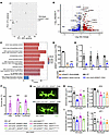dCbl rescues the defects observed in dDMAP1-knockdown flies.