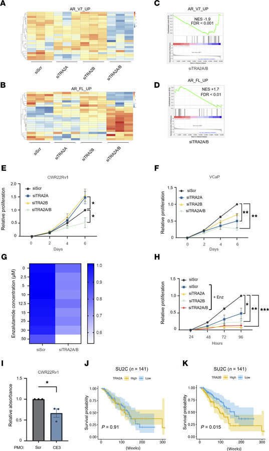 TRA2 depletion diminishes AR-V signaling and PC cell growth.
Normalized ...