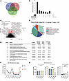 TRA2 proteins facilitate CE3 inclusion into mature AR-V transcripts.