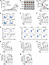 Combined SIR2 and USP22 inhibition in cancer treatment.