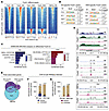 HNF4α loss reprograms FoxA1/2 binding to drive nongastric states in IMA.