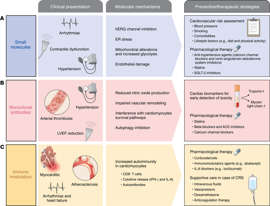Mechanisms, clinical manifestations, and preventive/therapeutic strategi...
