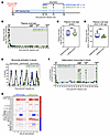 mRNA/SIVgag vaccination increases monocyte activation in SIV-infected RM on