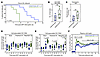 CD8+ T cell responses induced by the mRNA/SIVgag vaccine delay viral reboun