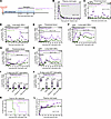 Combining mRNA/SIVgag with Nef and Pol vaccines delays SIV rebound but does