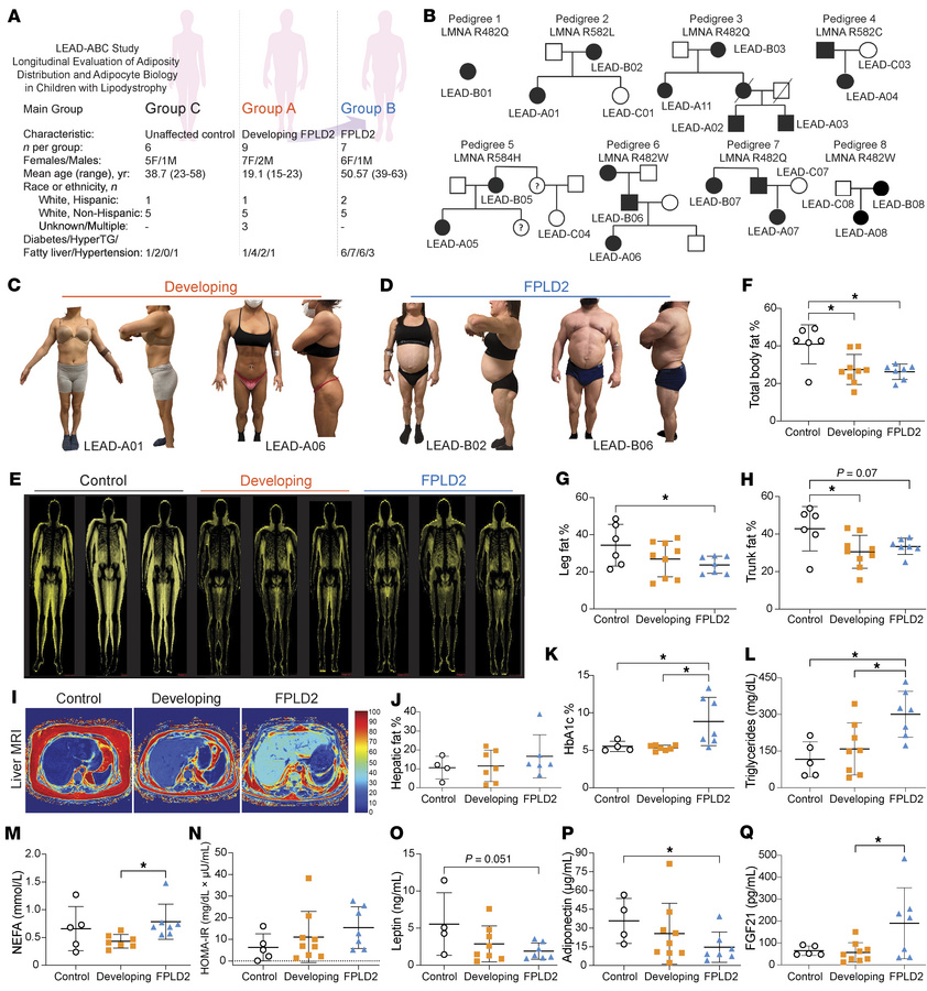 Clinical, metabolic, and molecular characterization of individuals with ...