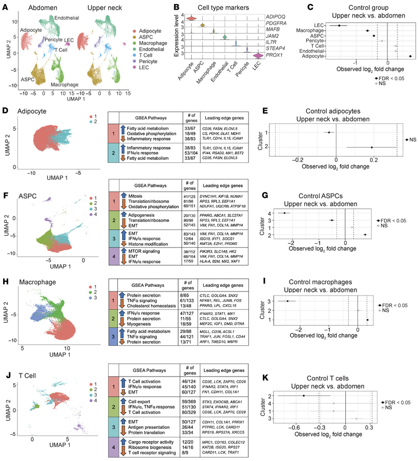 Single nucleus RNA-Seq identifies changes in cell proportions and subclu...