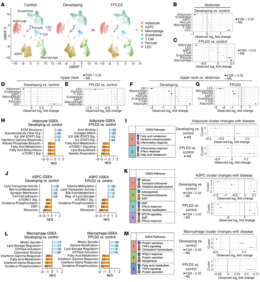 SnRNA-Seq identifies changes in cell proportions and identity with progr...