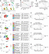 Single nucleus RNA-Seq identifies changes in cell proportions and subcluste
