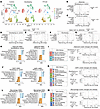 SnRNA-Seq identifies changes in cell proportions and identity with progress