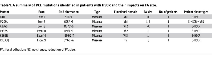 A summary of VCL mutations identified in patients with HSCR and their im...