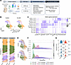 scRNA-seq analysis revealed a delayed progression of Vcl mutant cells along