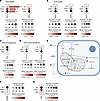 Transcriptional changes in TAL cells after VSG highlight metabolic suppress