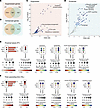 Venn diagrams and Kyoto Encyclopedia of Genes and Genomes pathway enrichmen