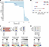 Pathway enrichment analysis of pseudobulk differential gene expression in p