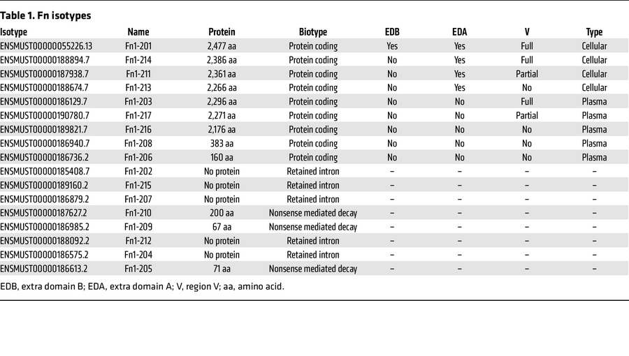 Fn isotypes