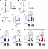 LPM-derived soluble factor promote skin wound healing following peritoneal