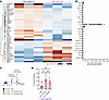 LPM-derived complement does not accelerate remote skin wound healing.