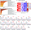 RNA-seq for gene expression profiles in Jag2sm versus WT MuSCs.