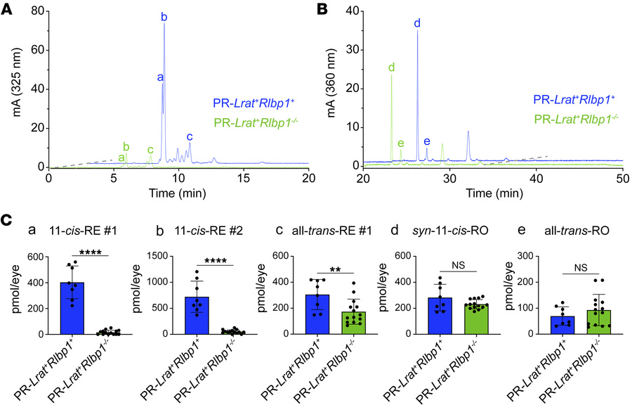 Dependence of retinyl-ester accumulation on CRALBP in PR-Lrat+ mice.
(A ...